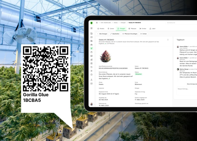 Cannabis Track & Trace System mit QR-codes